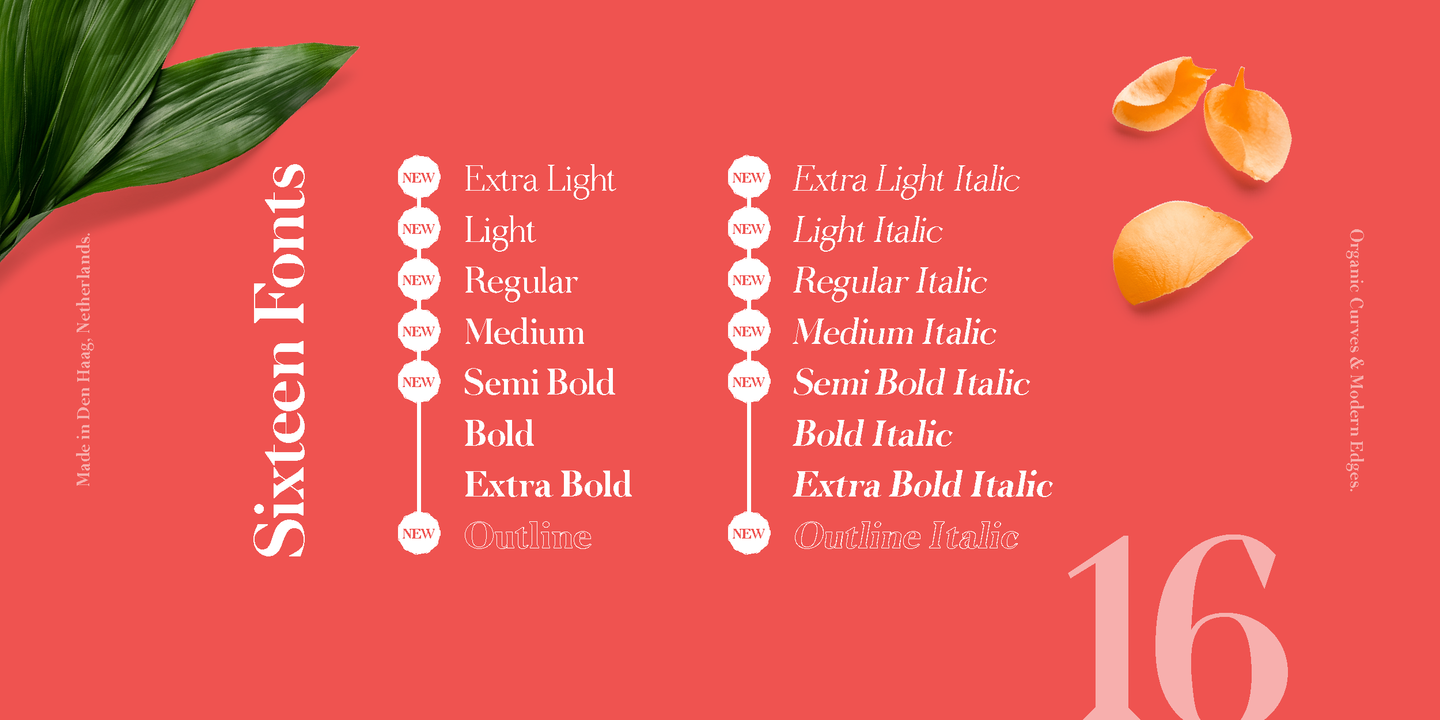 Ejemplo de fuente Node Display SemiBold Italic
